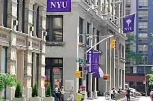 纽约大学.jpg