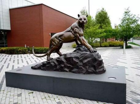 ·ƴѧ Adelphi University.jpg