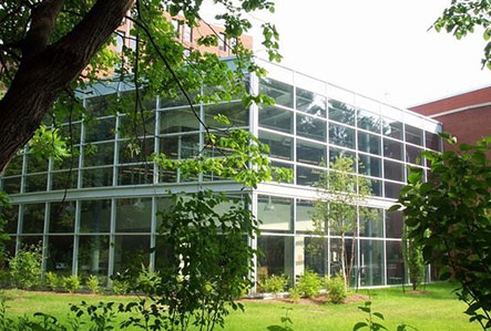 约克大学 SHULICH 商学院.jpg