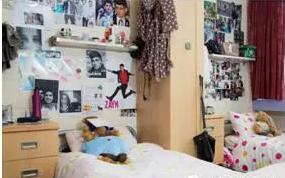 爱尔兰顶级中学之女校爱丽桑德拉中学Alexandra College4.jpg