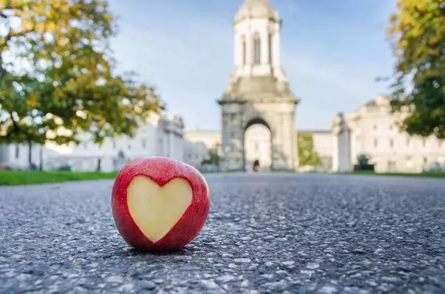 ʥһУ԰羰 (17).jpg