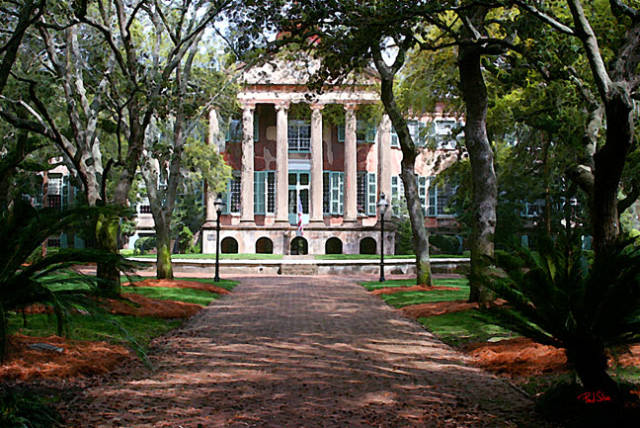 ˹ѧԺCollege of Charleston.jpg