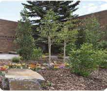 10. John G. Diefenbaker.jpg