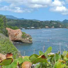 Dominica Hurrican Relief01.jpg