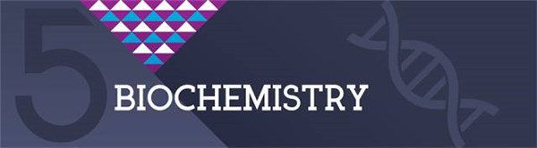 ﻯѧ Biochemistry.jpg