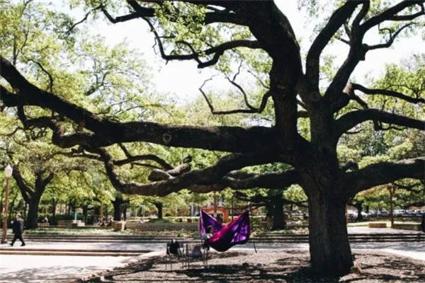 Vara Martin Daniel Plaza.webp.jpg