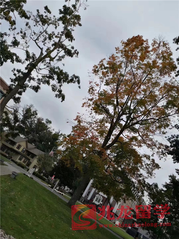 The Pennington Schoolѧ (9).jpg