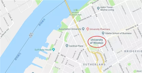 温莎大学位置.webp.jpg