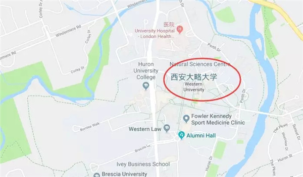 西安大略大学位置.webp.jpg
