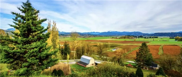 BCʡ  УLangley, BC.webp.jpg