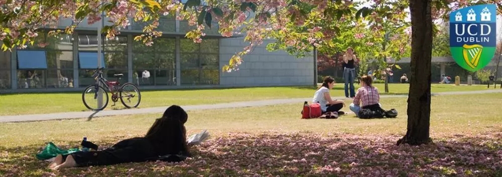 UCD.jpg