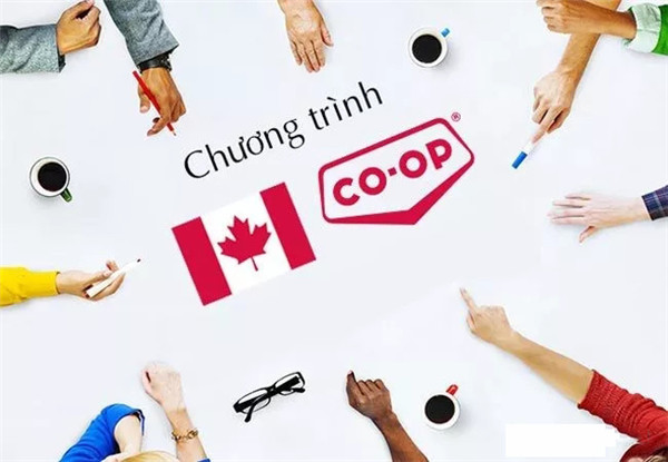 ôѧCo-opĿ.jpg
