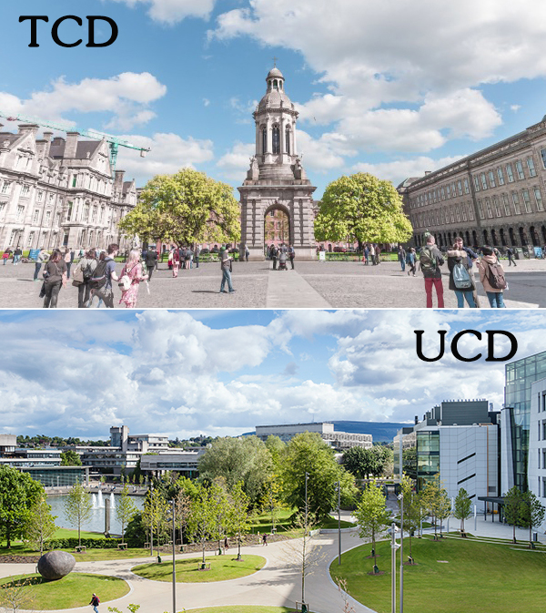 TCD-UCDͼ.jpg