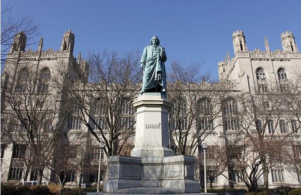 ֥Ӹѧ University of Chicago.jpg