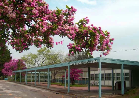 多伦多教育局旗下学校Don Mills Collegiate Institute.webp.jpg