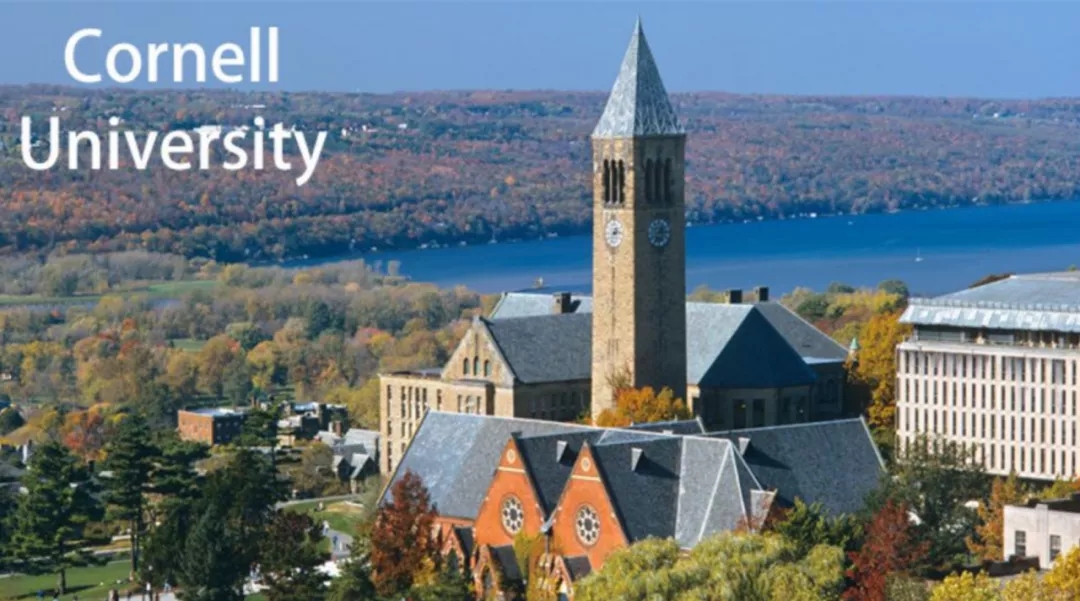 康奈尔大学正式公布2024届录取数据.webp.jpg