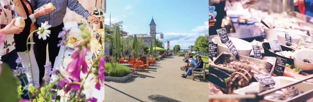 Dun Laoghaire.webp.jpg