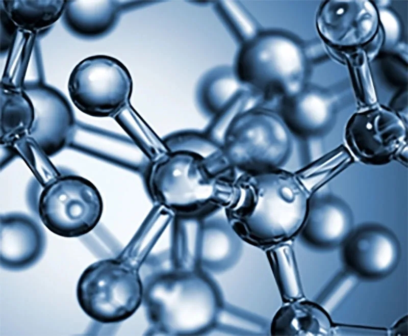 ҽѧ MSc Molecular Medicine.webp.jpg