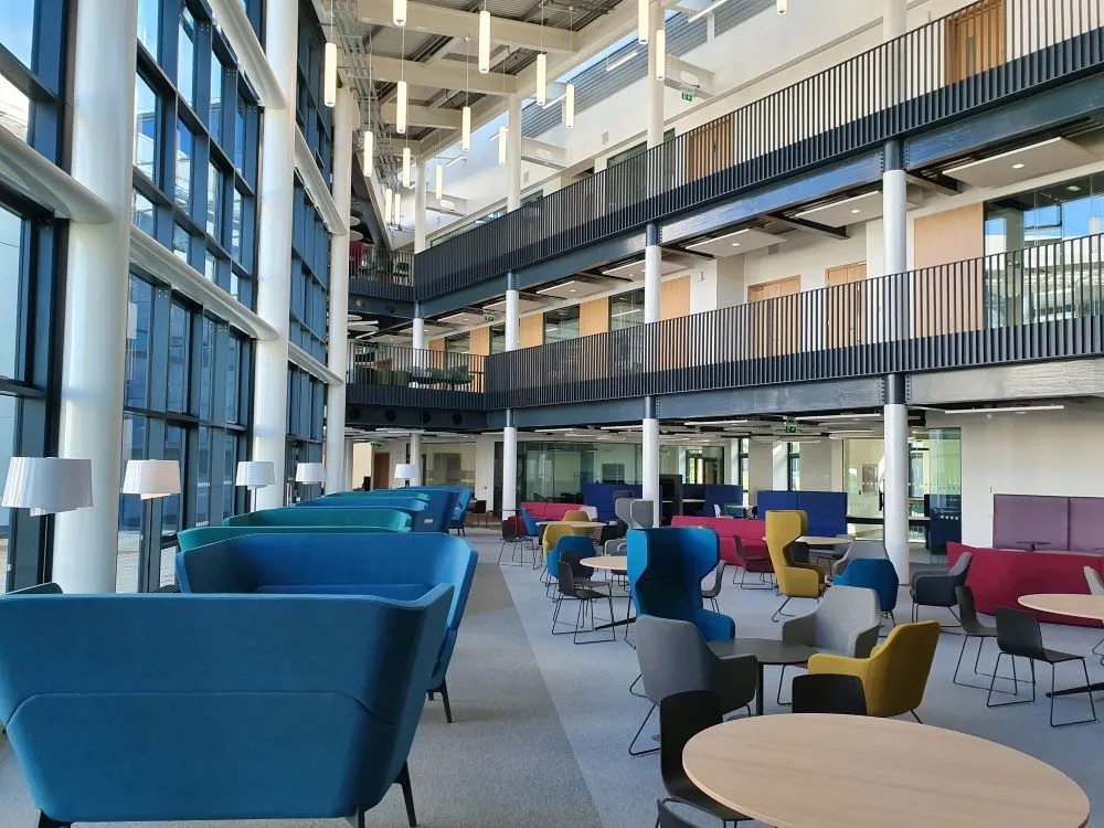 BSc Business ѧ.webp.jpg