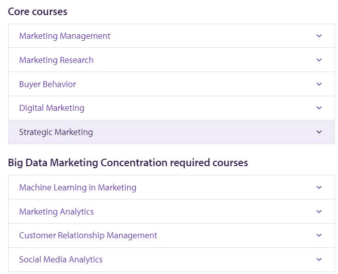 MSc in Marketing гӪ.jpg