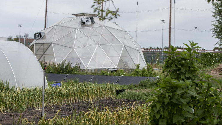 DCU GlasnevinУDCU԰.jpg