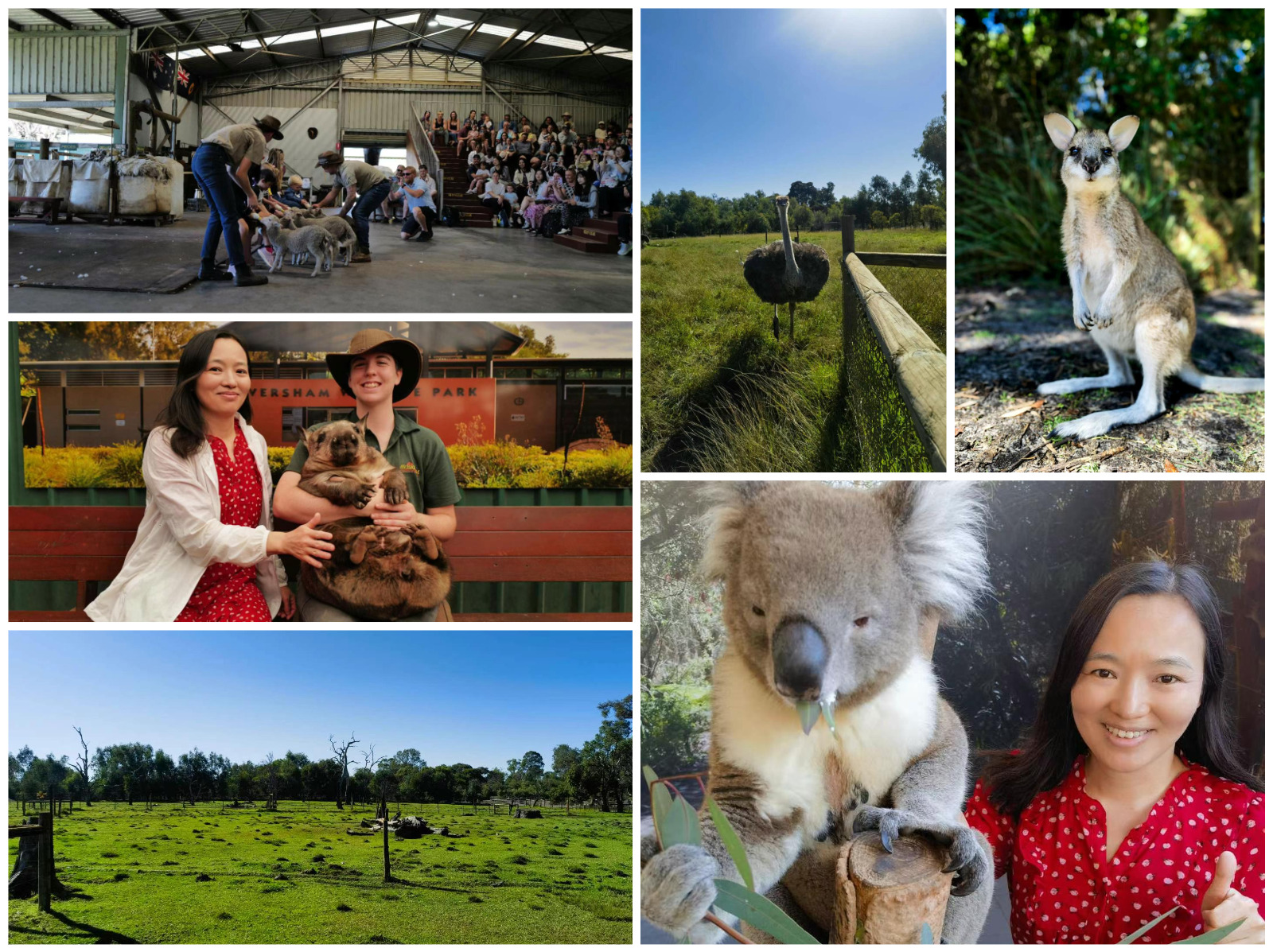 ȥCaversham Wildlife Park.JPG
